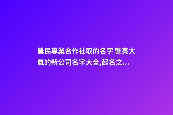 農民專業合作社取的名字 響亮大氣的新公司名字大全,起名之家-第1張-公司起名-玄機派